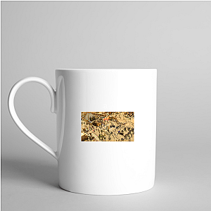 Age of Mythology Retold Iconic Units and Gods Motif Age Of Mythology Retold Mugs