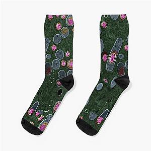 Anthrax bacteria, Bacillus anthracis, TEM Socks