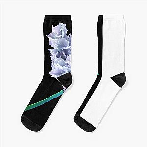 Neutrophil Engulfing Anthrax Bacteria, SEM Socks