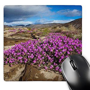 3dRose Anza Borrego Desert Spring Blooms California Mouse Pad