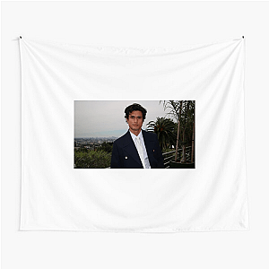 Soft Glare Charles Melton Tapestries