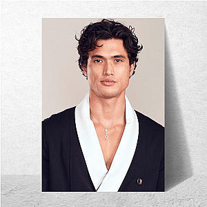 Frame Breaker Charles Melton Posters