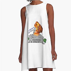 Designated Survivor A Line Dress