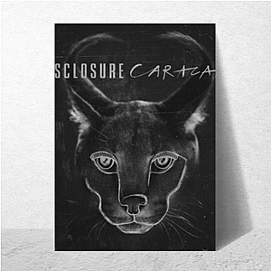 Caracal Disclosure Posters