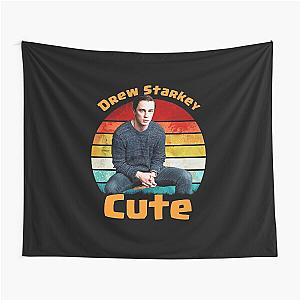 Drew Starkey Tapestry