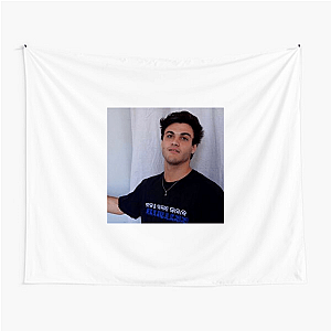 Ethan Dolan Vlogger Life Goals Fashion Ethan Dolan Tapestries