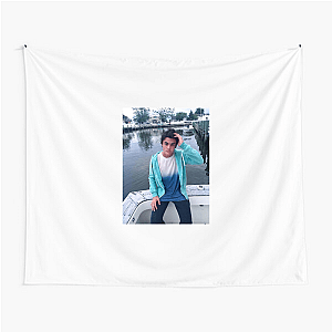 Ethan Dolan Hilarious and Relatable Content Creator Ethan Dolan Tapestries