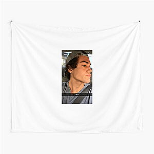 Ethan Dolan Witness the Epic Adventures Look Ethan Dolan Tapestries
