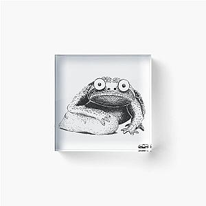 Frogger 2 Acrylic Block