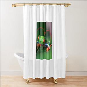 My shower curtain