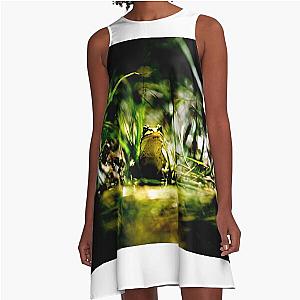 Frogger A-Line Dress