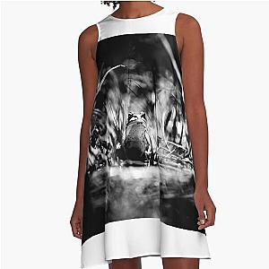 Frogger Black & White A-Line Dress