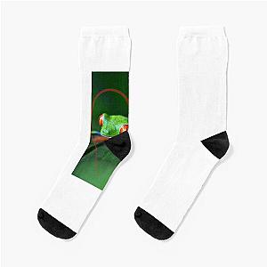 My Frog Socks