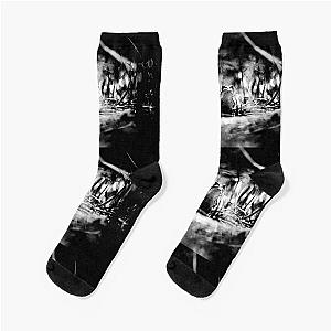 Frogger - Black Socks