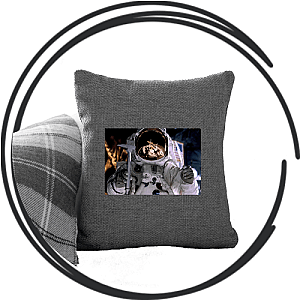 From The Earth To The Moon Pillows Cover