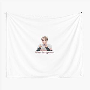 Jungwoo - NCT Tapestry