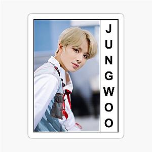 JungWoo (NCT) B1a Sticker