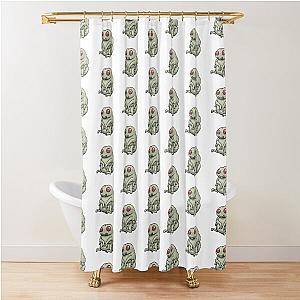 The Baby Shower Curtain