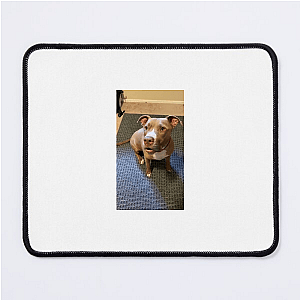 Laugh First, Apologize Later – Robby Cole Line Robby Cole Mouse Pads