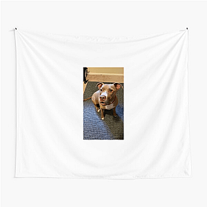 Laugh First, Apologize Later – Robby Cole Line Robby Cole Tapestries