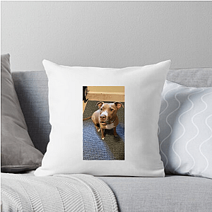 Laugh First, Apologize Later – Robby Cole Line Robby Cole Pillows Cover