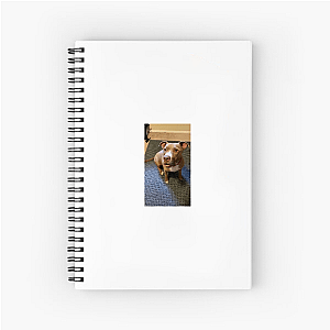 Laugh First, Apologize Later – Robby Cole Line Robby Cole Notebook