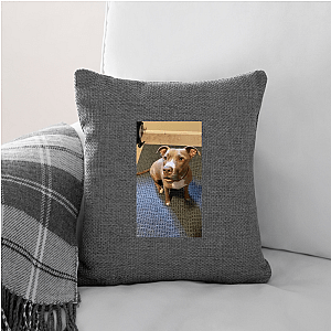 Laugh First, Apologize Later – Robby Cole Line Robby Cole Pillows Cover