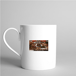 From Crash to Colony – Stranded: Alien Dawn Stranded: Alien Dawn Mugs