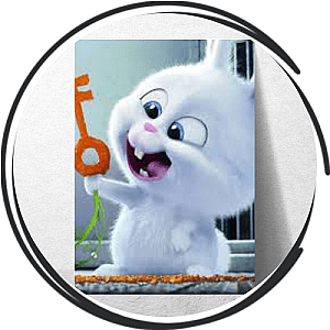 The Secret Life Of Pets Posters