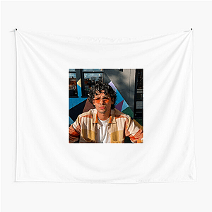Xolo Maridueña Witness His Heroic Journey Look Xolo Maridueña Tapestries